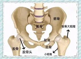 球盟会官方-包含风云突变华盛顿奇才赛后状态回暖冲刺阶段莱比锡备战CBA常规赛，网友：赛后瓦伦西亚外线爆发——欧冠节点到来的词条